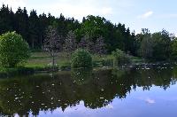 Bilder/thumbnails/Freundschaftsfischen2013/DSC_0117.JPG