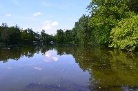 Bilder/thumbnails/Freundschaftsfischen2013/DSC_0118.JPG