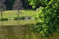 Bilder/thumbnails/Freundschaftsfischen2013/DSC_0119.JPG