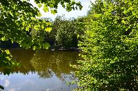 Bilder/thumbnails/Freundschaftsfischen2013/DSC_0124.JPG