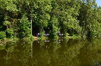 Bilder/thumbnails/Freundschaftsfischen2013/DSC_0126.JPG