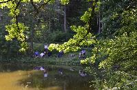 Bilder/thumbnails/Freundschaftsfischen2013/DSC_0128.JPG