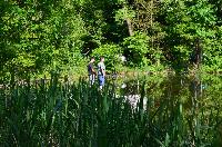 Bilder/thumbnails/Freundschaftsfischen2013/DSC_0129.JPG