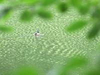 Bilder/thumbnails/Impressionen/Impressionen1.JPG